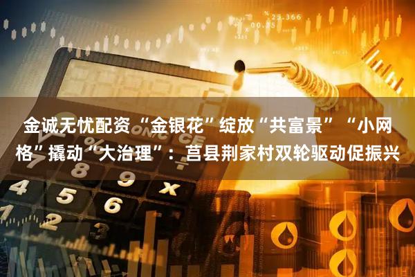 金诚无忧配资 “金银花”绽放“共富景” “小网格”撬动“大治理”：莒县荆家村双轮驱动促振兴