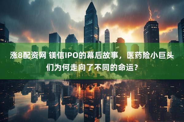 涨8配资网 镁信IPO的幕后故事，医药险小巨头们为何走向了不同的命运？