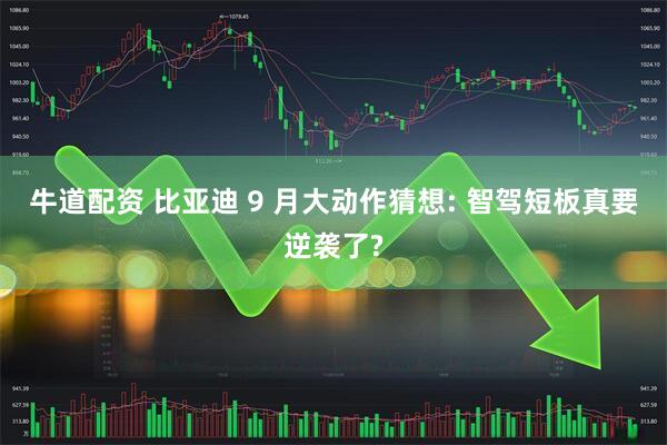牛道配资 比亚迪 9 月大动作猜想: 智驾短板真要逆袭了?