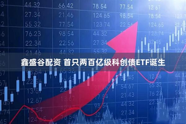 鑫盛谷配资 首只两百亿级科创债ETF诞生